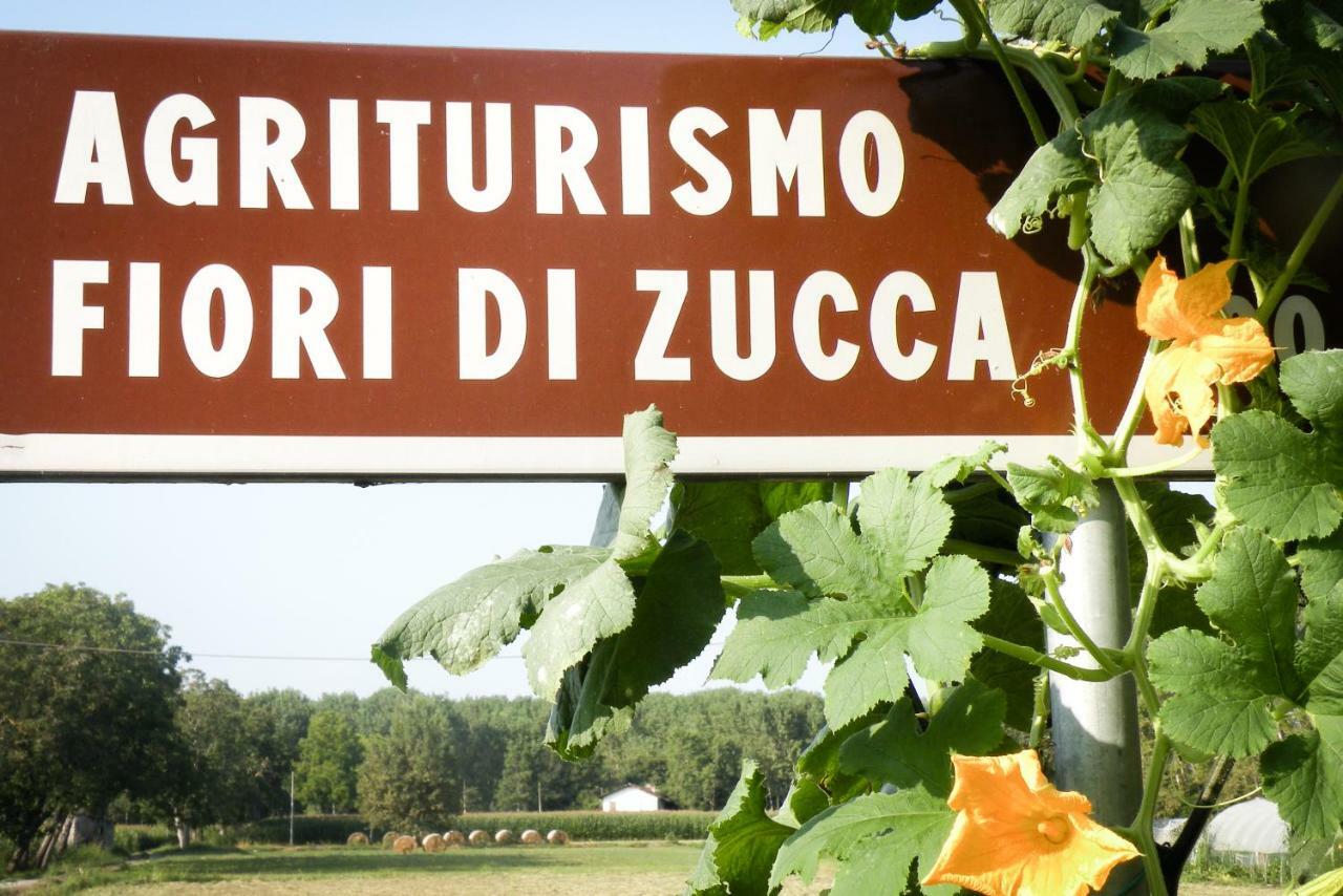 Agriturismo Fiori Di Zucca Fossano Dış mekan fotoğraf