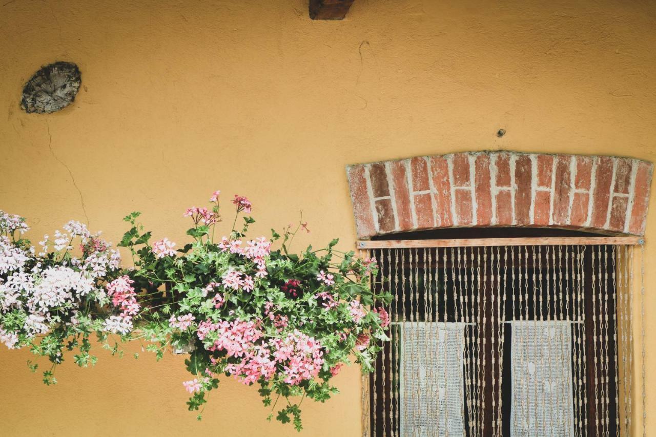 Agriturismo Fiori Di Zucca Fossano Dış mekan fotoğraf